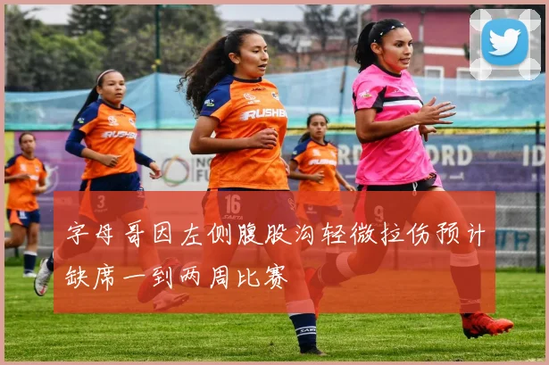 字母哥因左侧腹股沟轻微拉伤预计缺席一到两周比赛