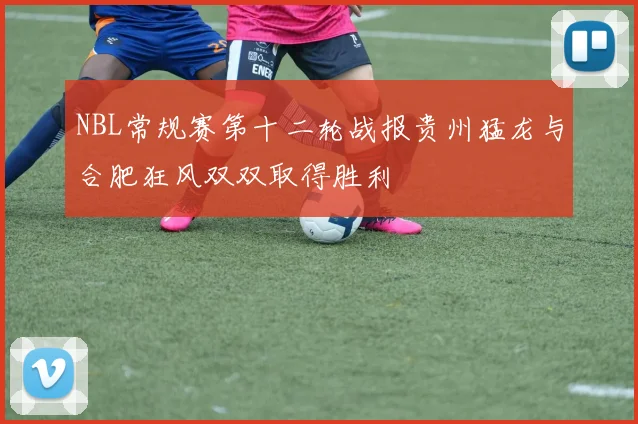 NBL常规赛第十二轮战报贵州猛龙与合肥狂风双双取得胜利