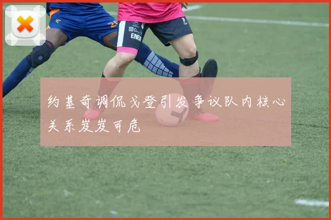 约基奇调侃戈登引发争议队内核心关系岌岌可危