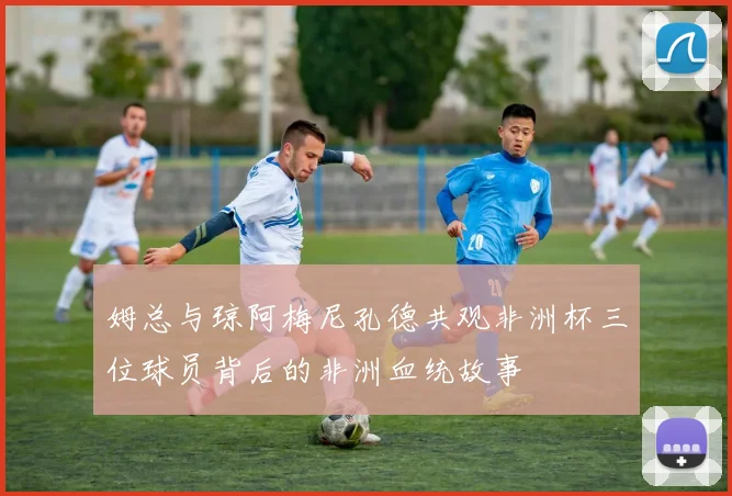 姆总与琼阿梅尼孔德共观非洲杯三位球员背后的非洲血统故事